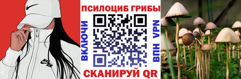 Галлюциногенные грибы Psilocybe Навашино